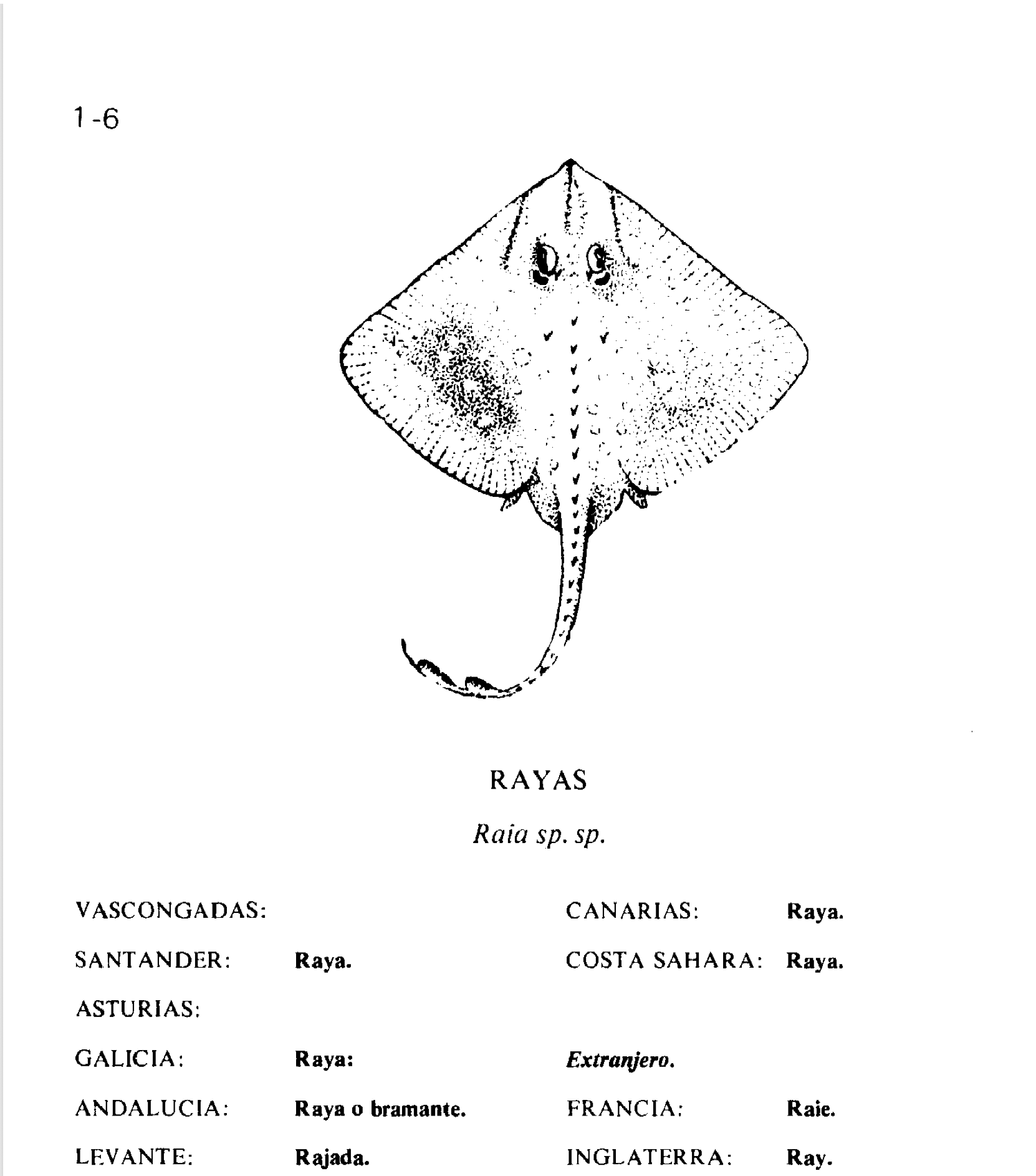 Dibujos de María del Carmen Simón Sánchez. Fuente: https://www.mapa.gob.es/ministerio/pags/biblioteca/fondo/pdf/13747_all.pdf